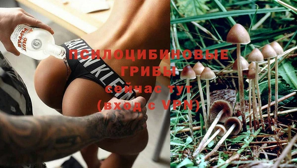 ALPHA PVP Белоозёрский